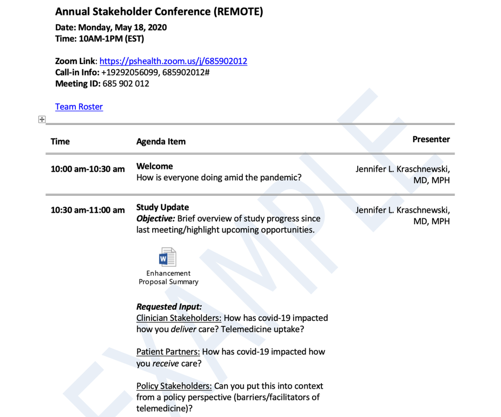 Document with title Annual Stakeholder Conference (REMOTE), date and time, Zoom information, and agenda items. 